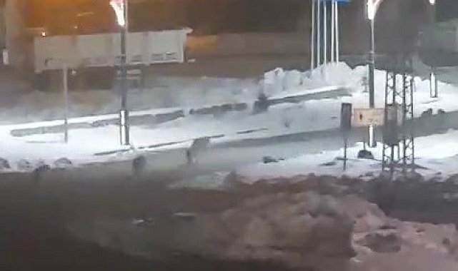 Karayazı'da akşam saatlerinde kurt alarmı