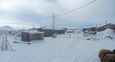 Karla birlikte Türkiye'nin en yüksek köyü Kışkılı'da besiciler zor durumda kaldı