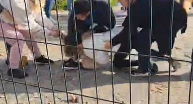 Kartal Anadolu Adliyesi önünde iki aile arasında yumruk yumruğa kavga çıktı