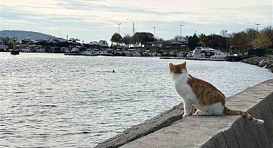 Kartal'da üşüten manzara: İki arkadaş soğukta denize girdi