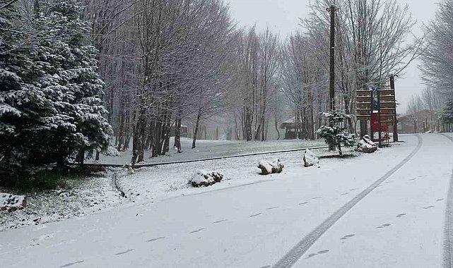 Kartepe'ye lapa lapa kar yağıyor
