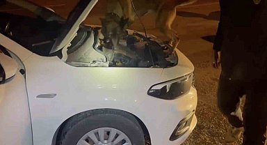 Kastamonu'da uyuşturucu operasyonu: 5 tutuklama