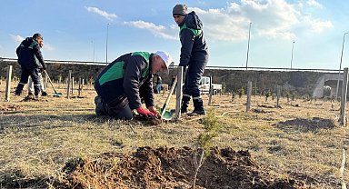 Kayseri Büyükşehir'den kentin yeşil alan varlığına destek