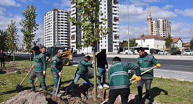 Kayseri Kocasinan şehri oksijen deposuna çevirdi