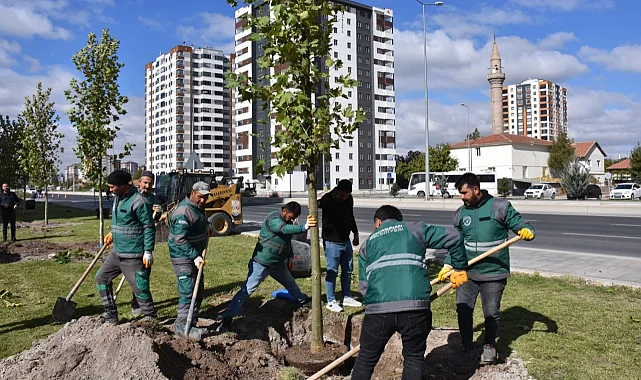 Kayseri Kocasinan şehri oksijen deposuna çevirdi
