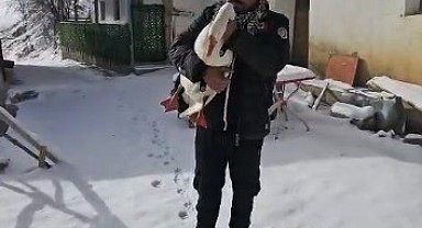 Kazından helallik istedi