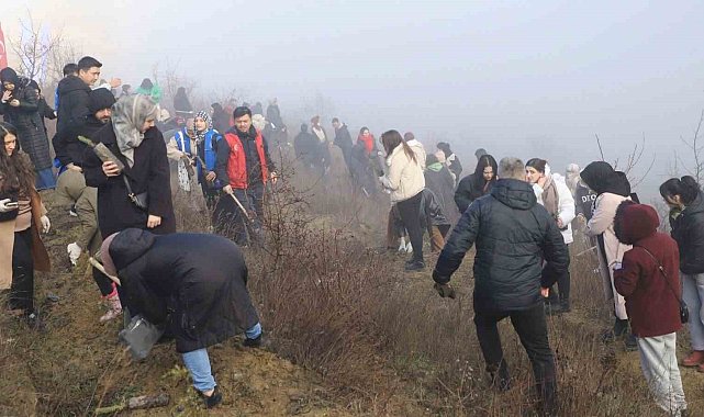 KBÜ'lü öğrenciler 500 çam fıstığı fidanını toprakla buluşturdu