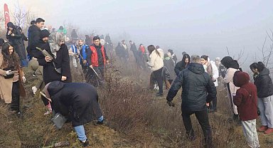 KBÜ'lü öğrenciler 500 çam fıstığı fidanını toprakla buluşturdu