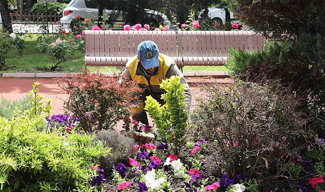 Keçiören'de seradan parklara uzanan yeşil yolculuk