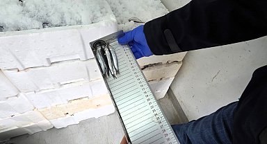 Kırklareli'nde su ürünleri denetimi