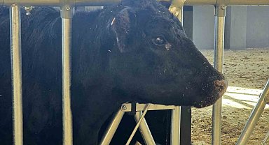 Kırsalda Bereket Hayvancılığa Destek Projesi, 2028 yılına kadar sürecek