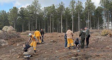 Kırşehir'den gelen üniversite öğrencileri Çine'de fidan dikti