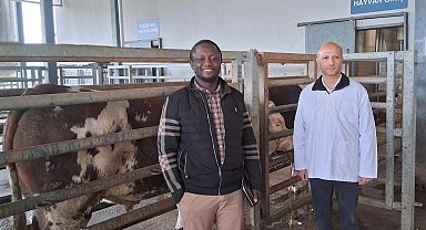 Kocaeli Büyükşehir mezbahasına örnek tesis vurgusu