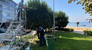 Kocaeli Büyükşehir'den yeşil alanlara özel bakım