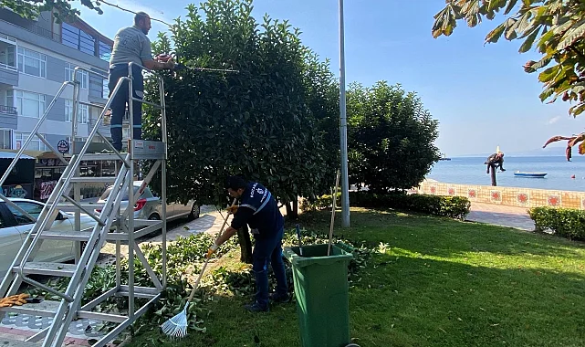 Kocaeli Büyükşehir'den yeşil alanlara özel bakım