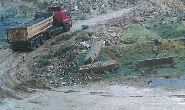 Kocaeli Encümeni ceza yağdırdı... Doğa katliamına 7,5 milyon TL ceza