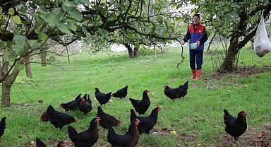 Kocaeli'de kırsal kalkınmaya "kanatlı" destek