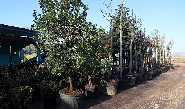 Kocaeli'de torf üretimi ile 50 milyon lira tasarruf sağlanıyor