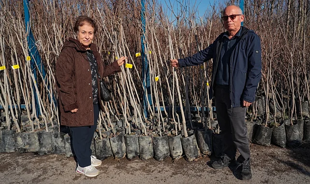 Kocaeli'nin fidan desteği meyvelerini veriyor