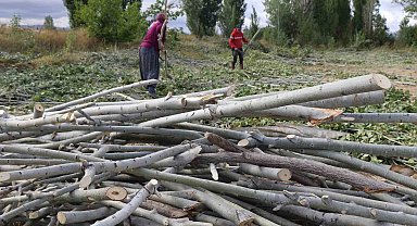Kömür pahalı, odun umut: Erzincan kırsalında kış mesaisi