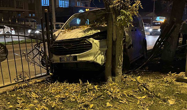 Kontrolden çıkan minibüs, refüjdeki ağaca çarparak durabildi