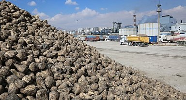 Konya Pancar Ekicileri bu yıl verimden memnun