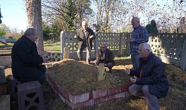 Köpeğin vefası: Sahibinin mezarından ayrılmayan köpek duygulandırdı