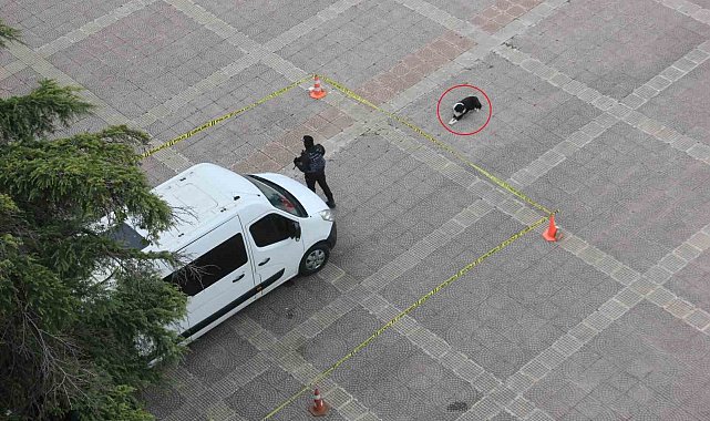 Köpekten örnek davranış: Polis şeridini ihlal etmedi