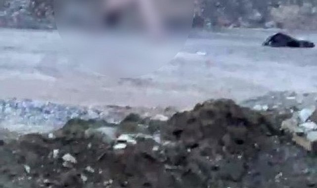 Köprü altında akıllara durgunluk veren görüntüler