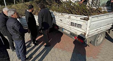 Köşk'te üreticiye tüplü incir fidanı desteği