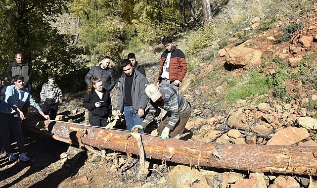Köyceğiz'de Ormancılık Yüksek Okulu öğrencileri saha uygulamalarına katıldı