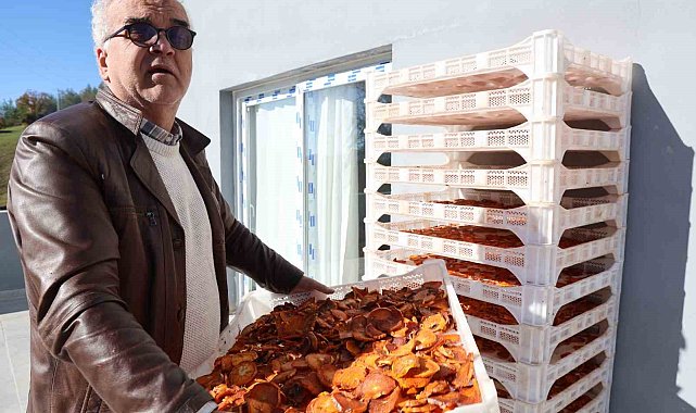 Köyde kurulan tesisle kurutulan cennet hurmaları Almanya'ya ihraç edildi