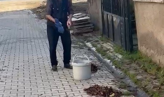Kütahya'da yaşlı adamdan çevreye örnek temizlik dersi