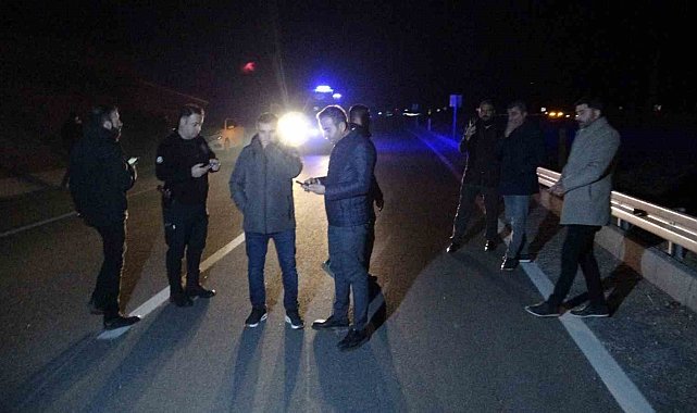 Malatya'da kaçan yarış atları karayoluna çıktı: 6 at telef oldu, 2 kişi yaralandı