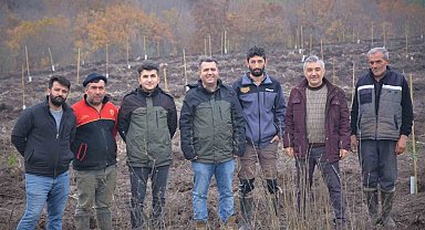 Manyas'ta orman köylüsüne gelir getirici ağaçlandırma