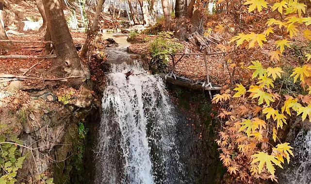 Mardin'in gizli cenneti renk cümbüşüne döndü