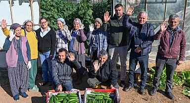 Mersin Aydıncık'ta üreticiler ilk hasadı yaptı