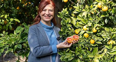 Mersin kan portakalında hedef AB tescili