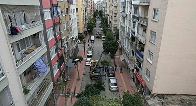 Mersin'de ağaçlara kış bakımı