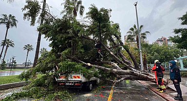 Mersin'de devrilen ağaç, seyir halindeki 3 araca zarar verdi
