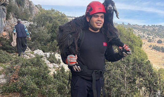 Mersin'de kayalıklarda mahsur kalan 2 keçi itfaiye ekiplerince kurtarıldı