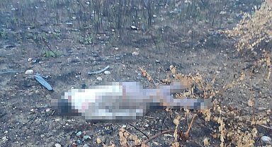 Mersin'de kaza yapan araç otoyolda, sürücüsü 30 metrelik köprünün altında ölü bulundu