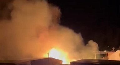 Mersin'de sazlık alandaki yangın söndürüldü: Bir sera zarar gördü