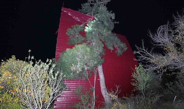 Mersin'de şiddetli rüzgar çatıyı uçurdu, asırlık meşeyi devirdi