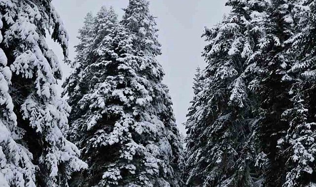 Meteorolojinin uyardığı Çankırı'da kar yağışı etkili oldu