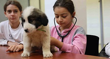 Minik veterinerler görev başında