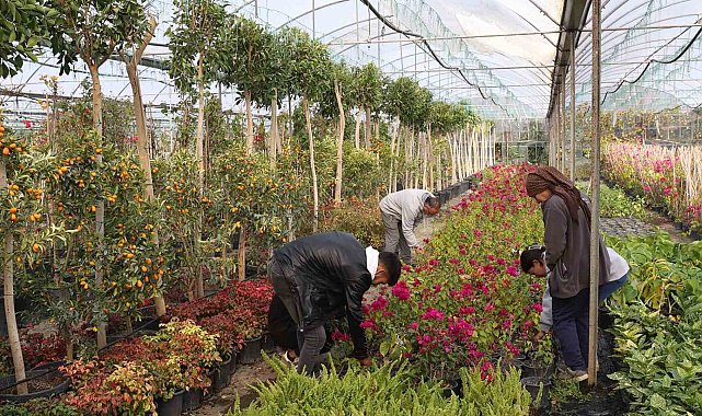 Muğla Büyükşehir'den yerel kalkınmaya katkı