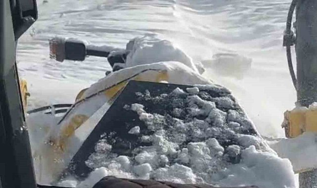 Muş'ta kar yağışı: 333 köy yolu kapandı