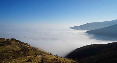 Muş'ta sis ovayı kapladı: Kartpostallık manzaralar oluştu