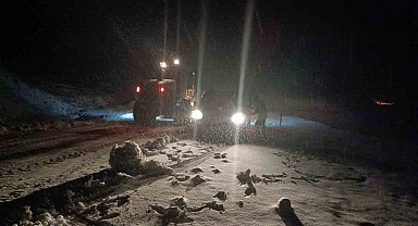 Muş'ta yoğun kar yağışı: Hasköy-Mutki yolu ulaşıma kapandı